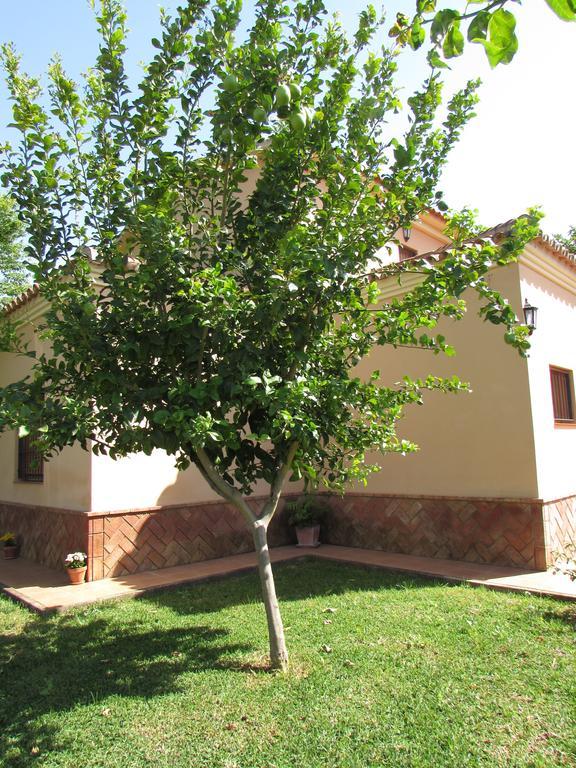 Casa Rural Oregano Carmona  Zewnętrze zdjęcie