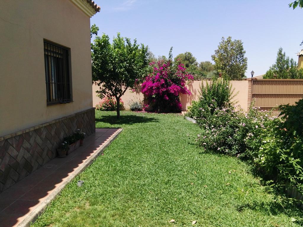 Casa Rural Oregano Carmona  Zewnętrze zdjęcie